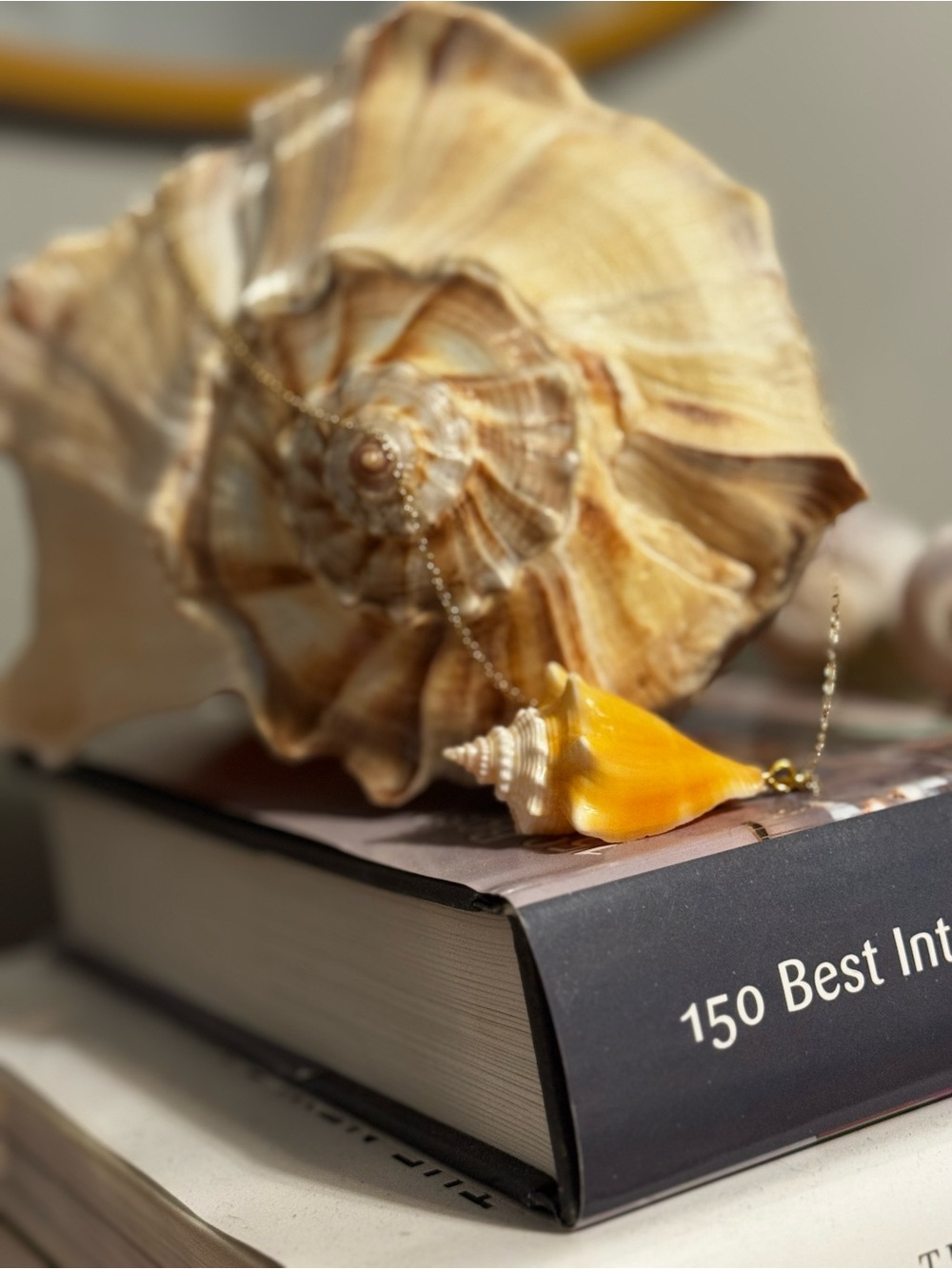 Handmade Florida Fighting Conch Seashell Necklace